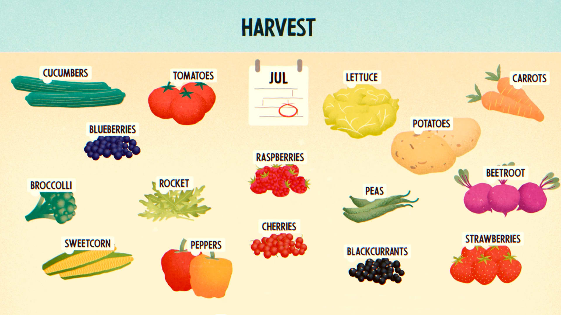 <h2>When to Plant and Harvest Fruit and Veg in the UK</h2>