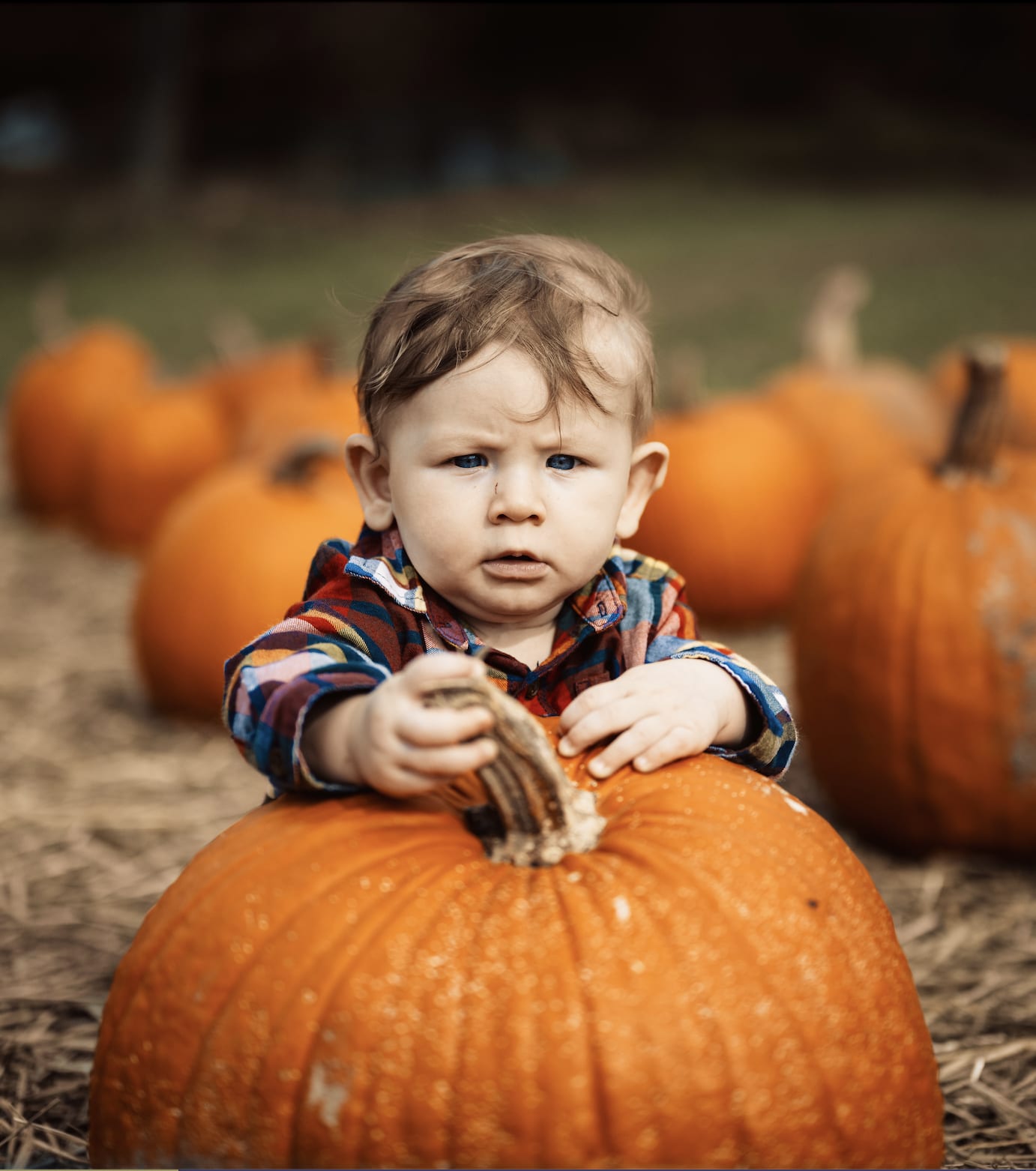 Pumpkin Recipes And Best Uk Pumpkin Patches Hellofresh 