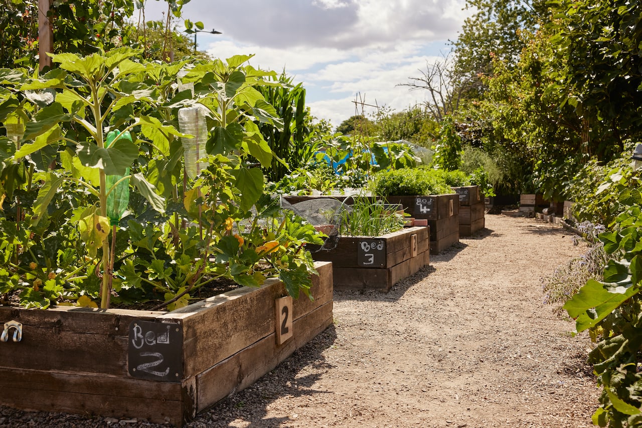 Help to stop food waste in the UK