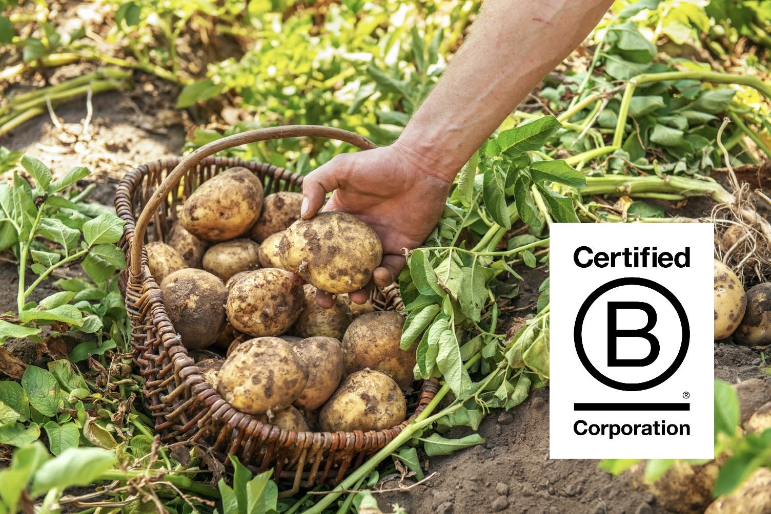 Certified B Corporation