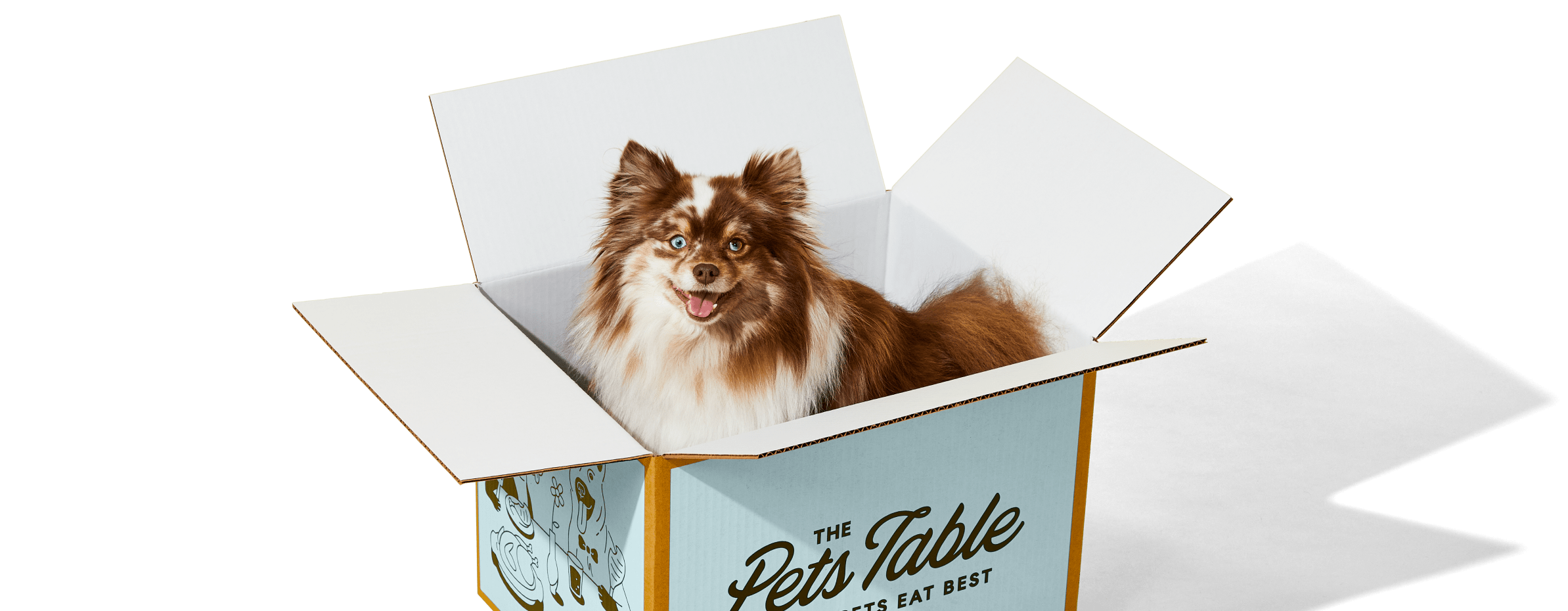 Why your pup will love The Pets Table