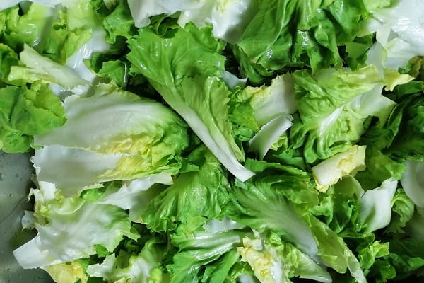 2. Little Gem Lettuce