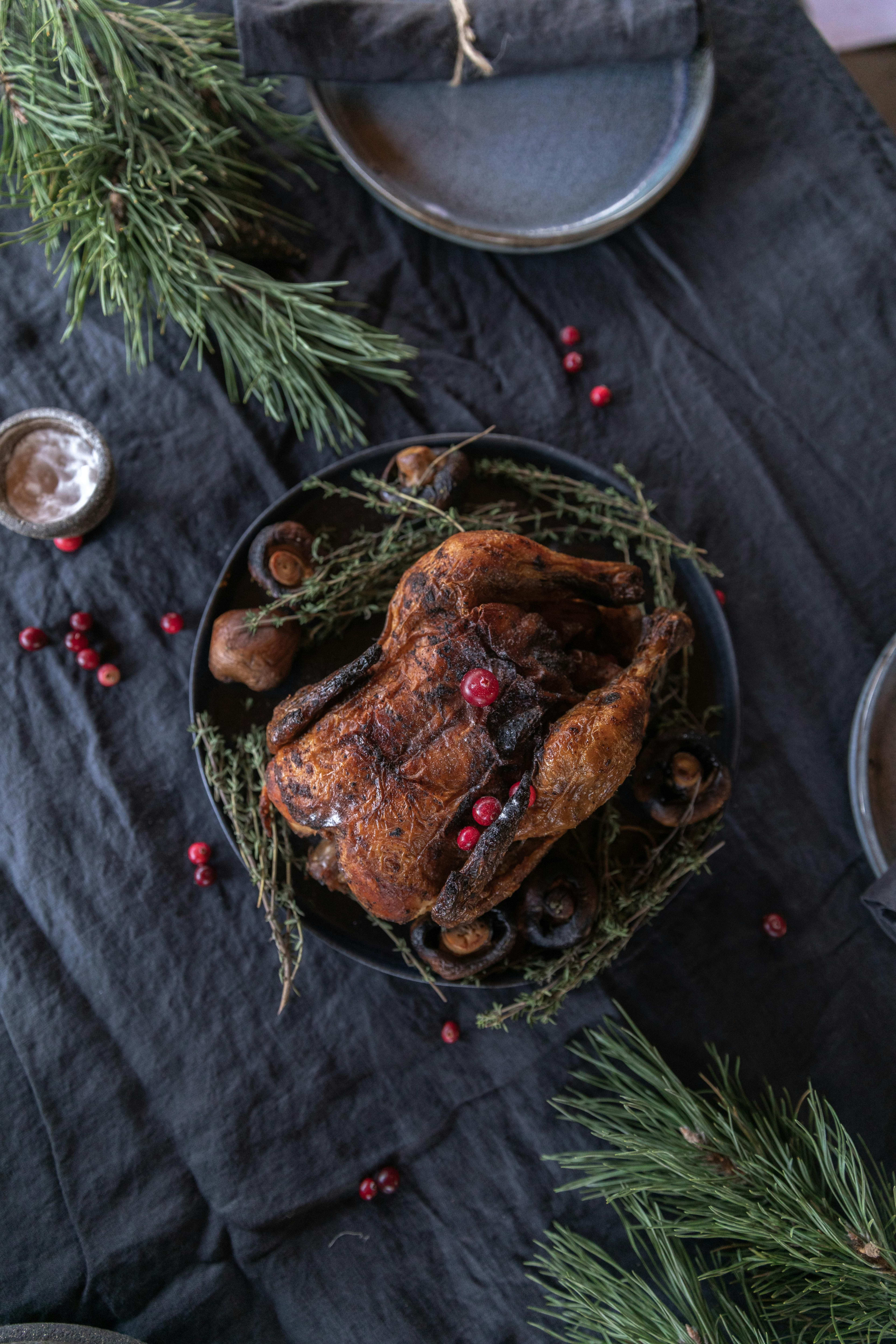 White Meat vs. Dark Meat: Flavor and Texture