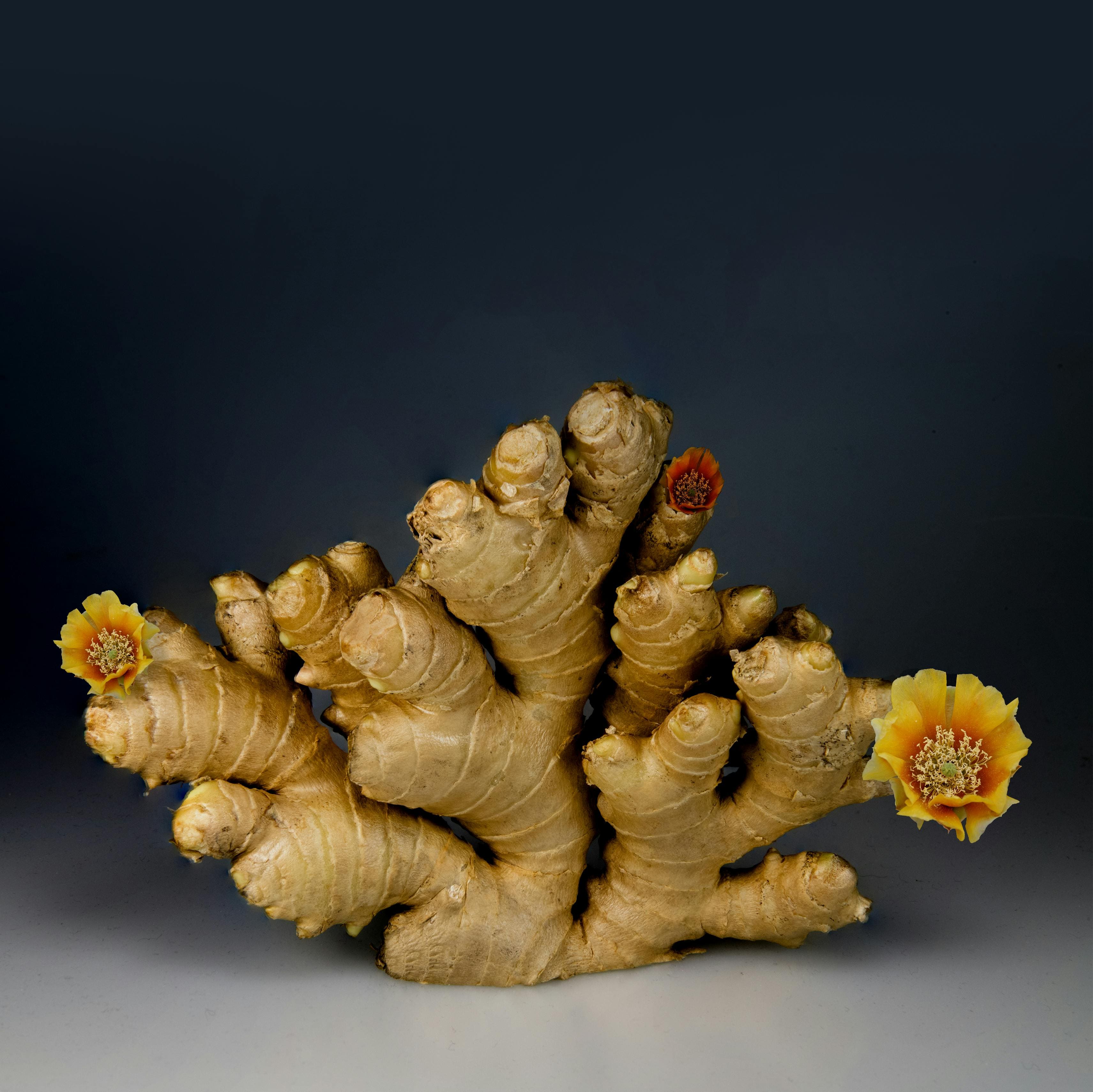 What Is Ginger?