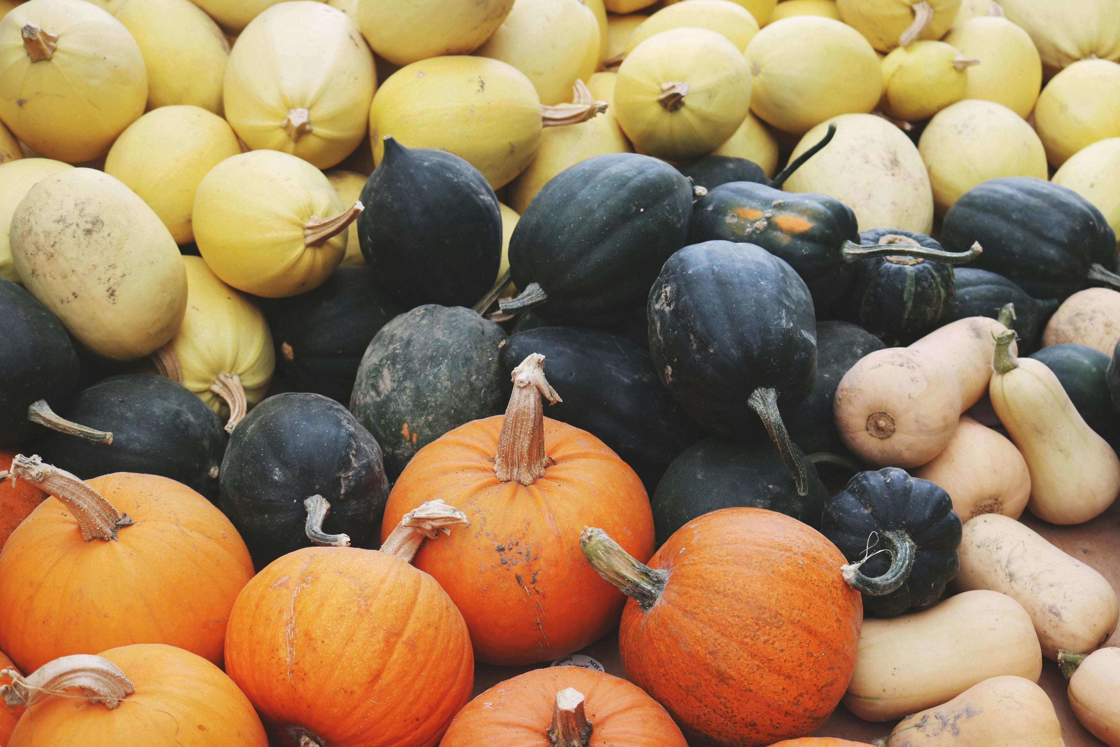 Tips for Roasting Other Winter Squash Seeds
