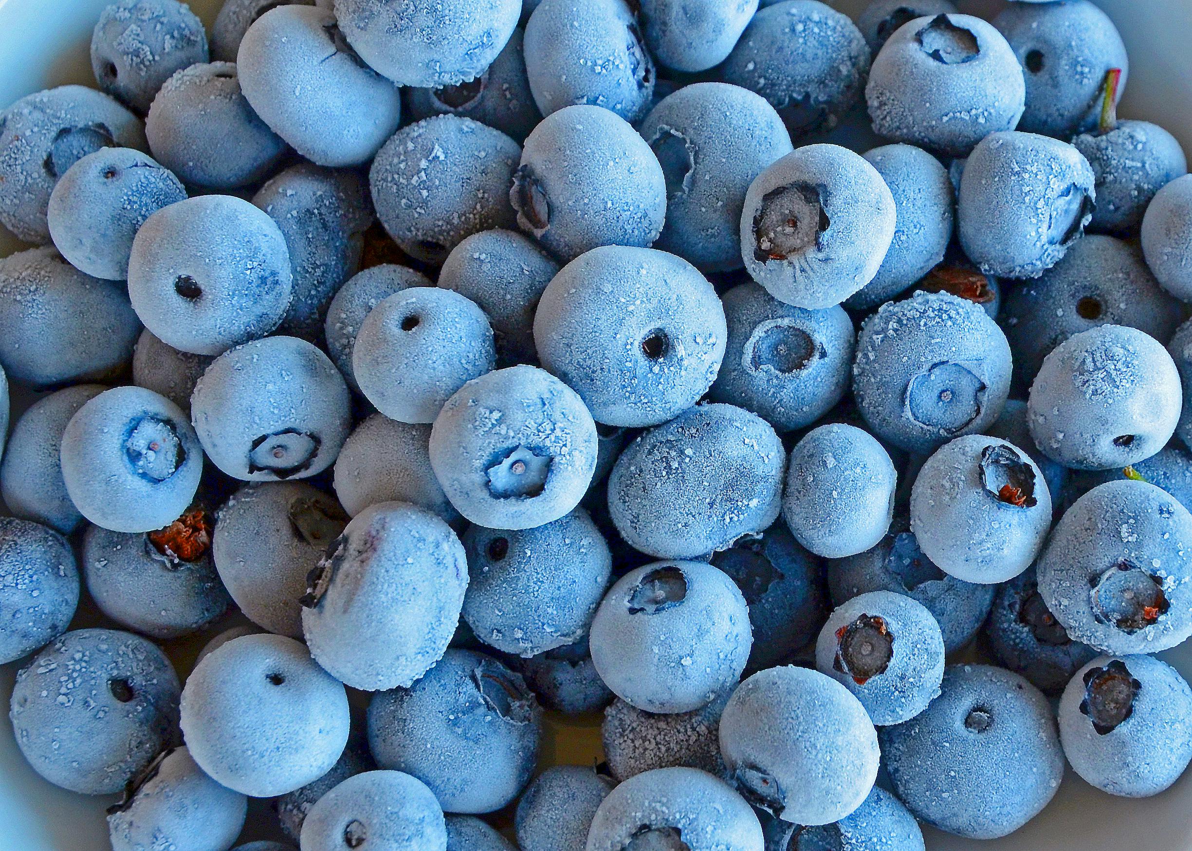 What Happens to Bacteria When You Freeze Food?