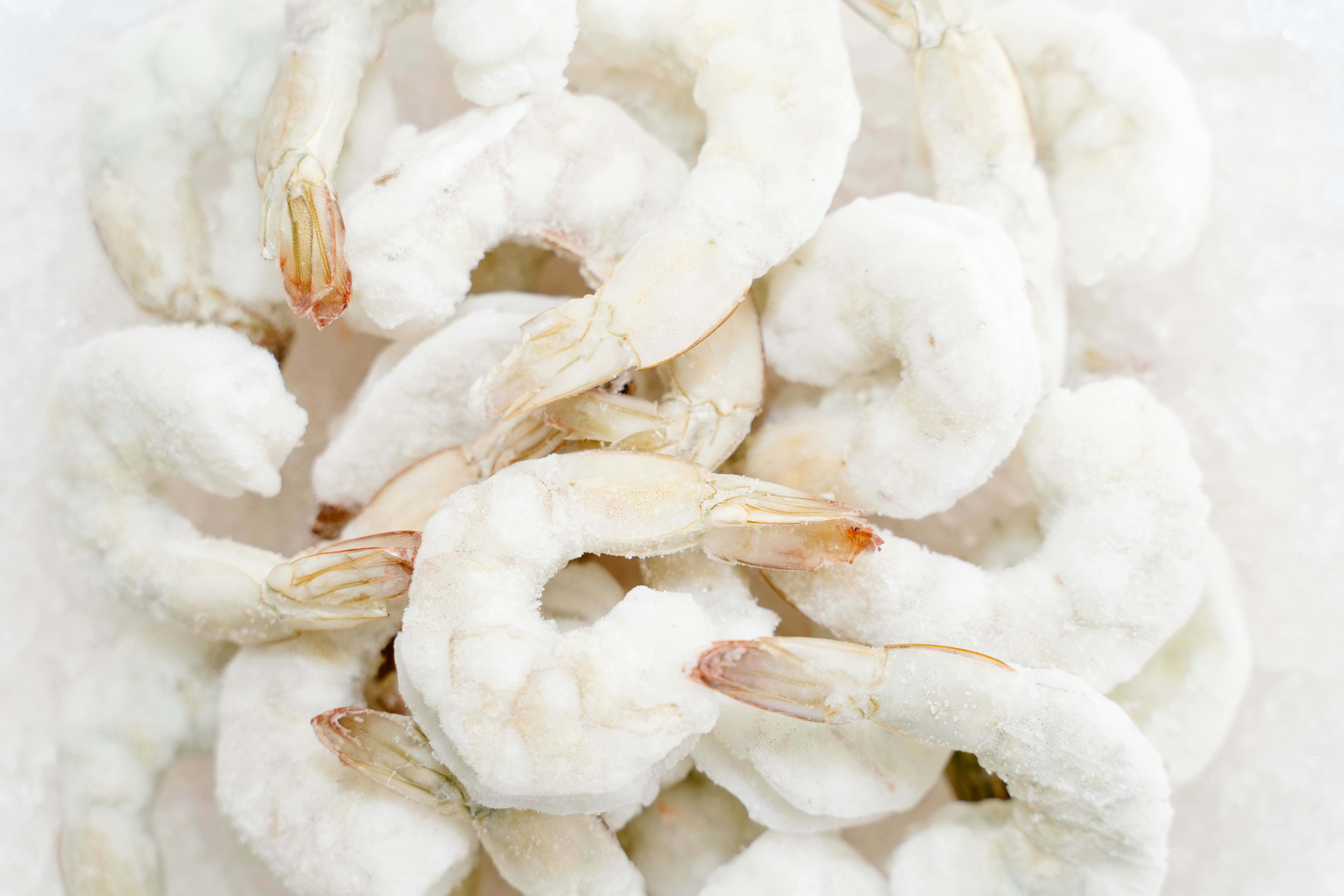 Does Freezing Food Eliminate the Risk of Foodborne Illness?
