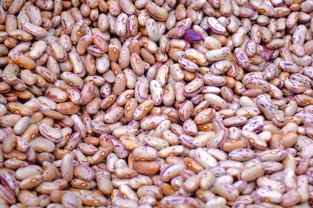 Legumes