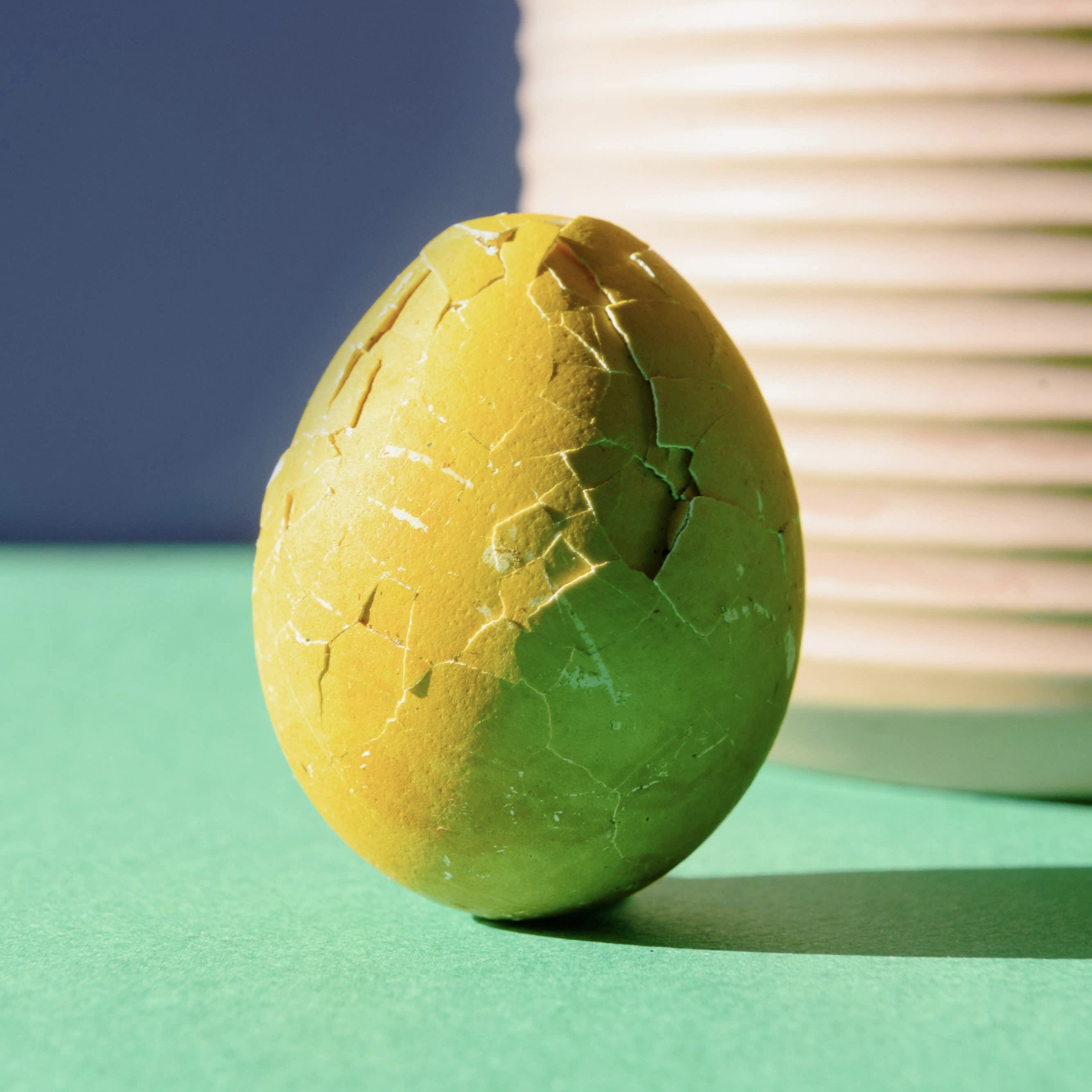 What Happens If You Eat a Bad Egg?