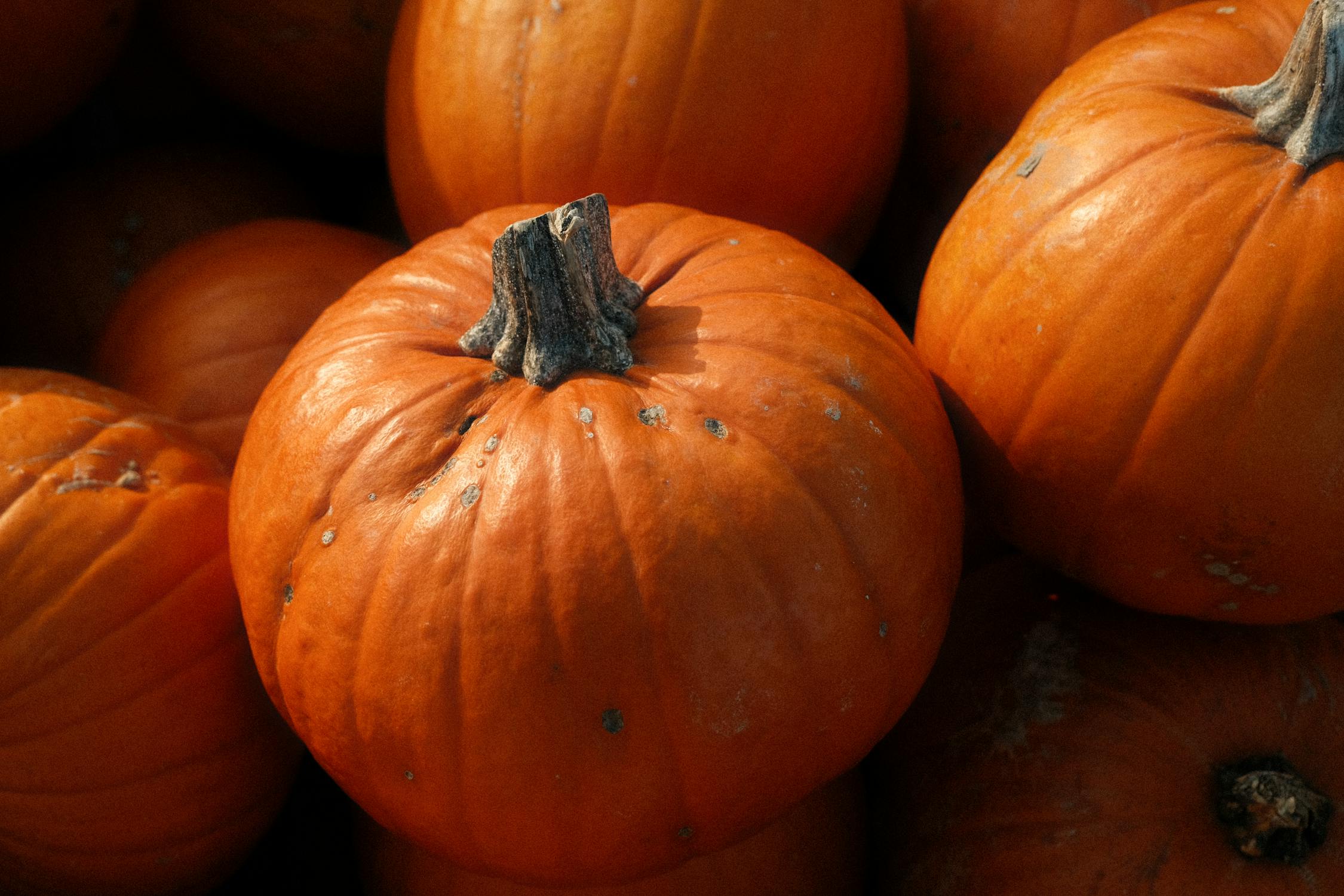 What's in season in the colder months?