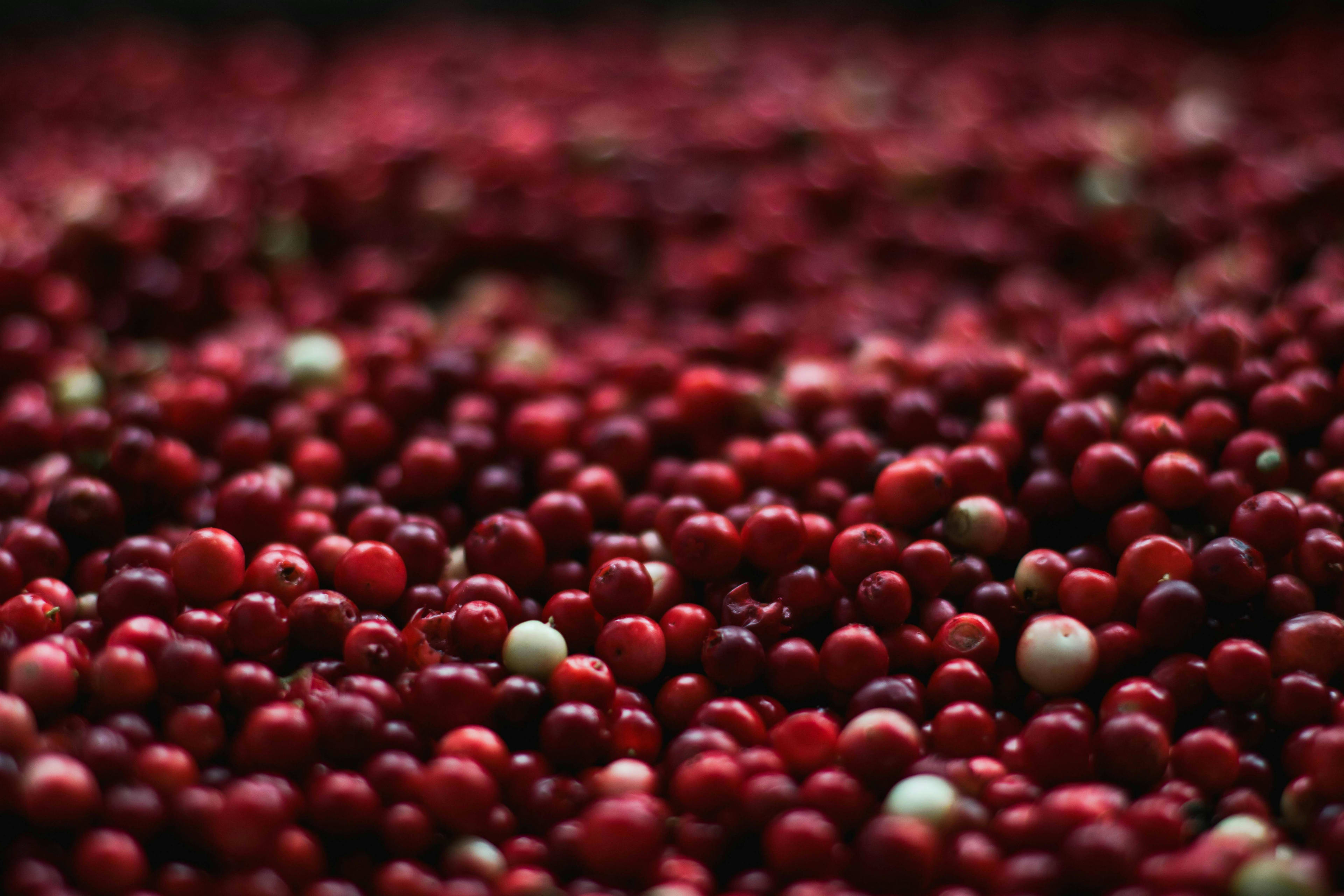 6. Upgrade Canned Cranberry Sauce With Fresh Additions