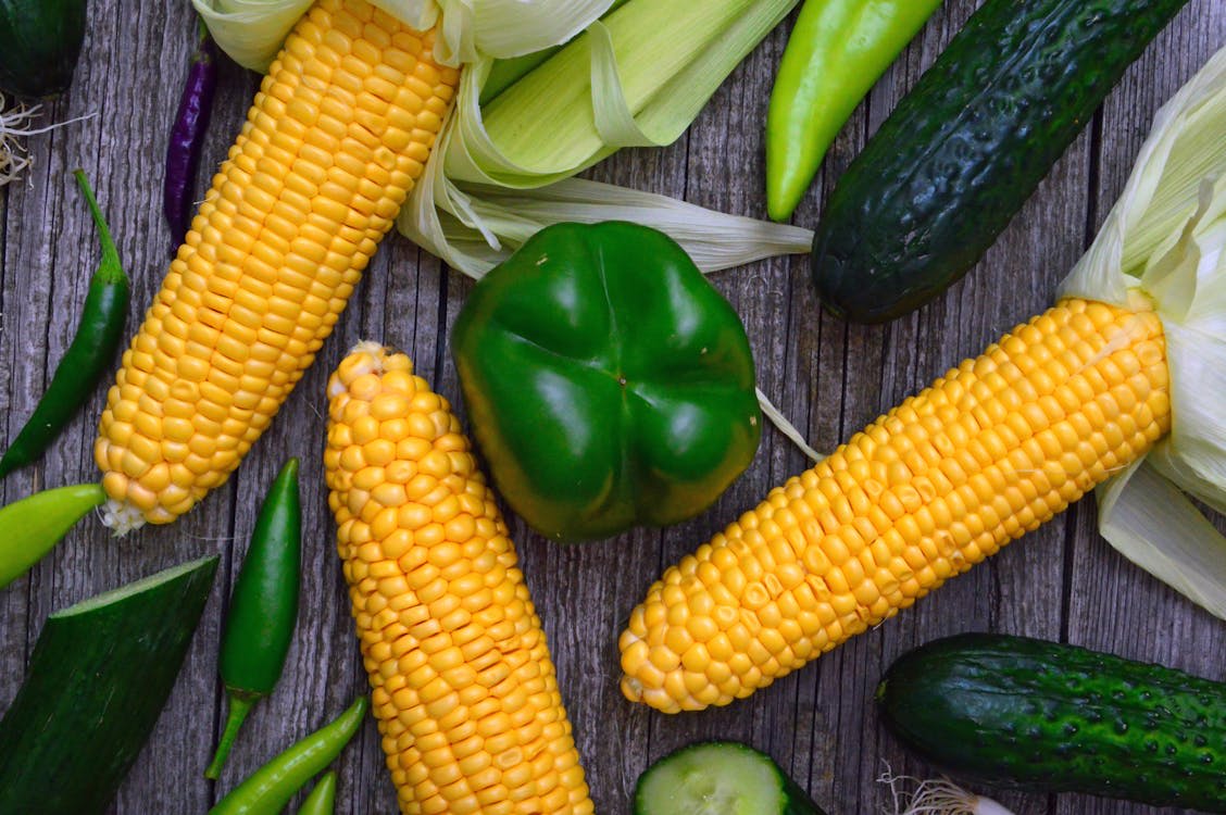 Seasonal Food Recipe Ideas