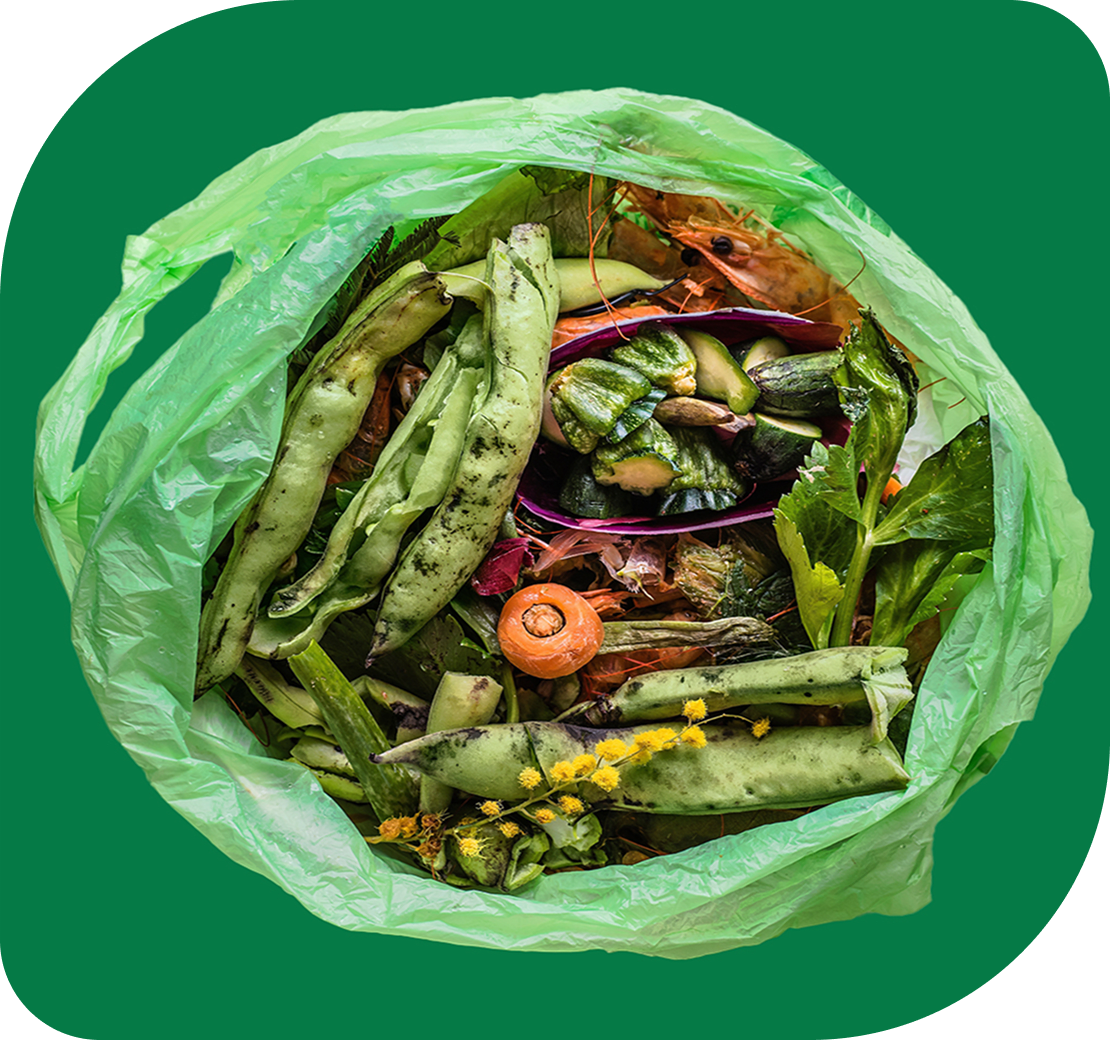 Fighting Food Waste