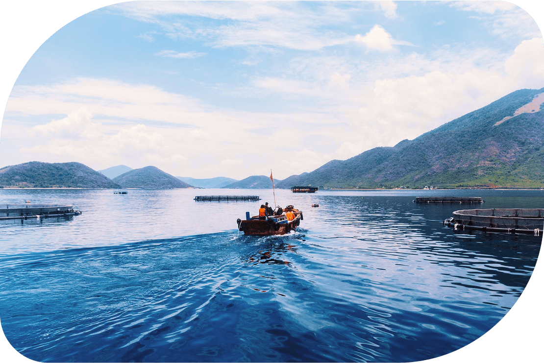 Our Sustainable Seafood Practices