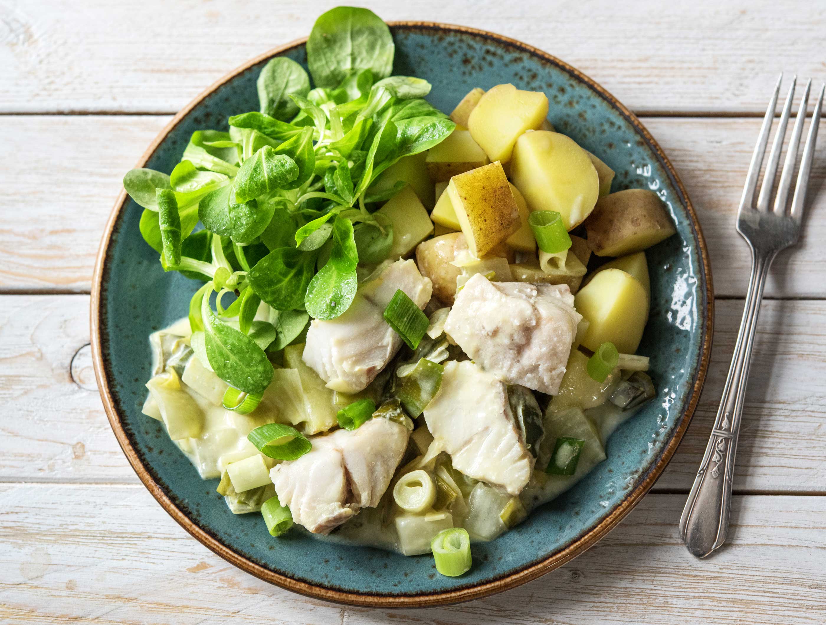 Colin à l'étuvée, chicons crémeux et salade fraîche