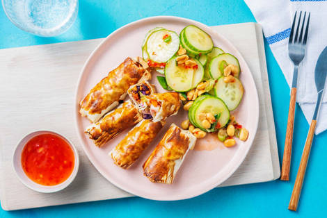 Handgemachte Ofen-Frühlingsrollen