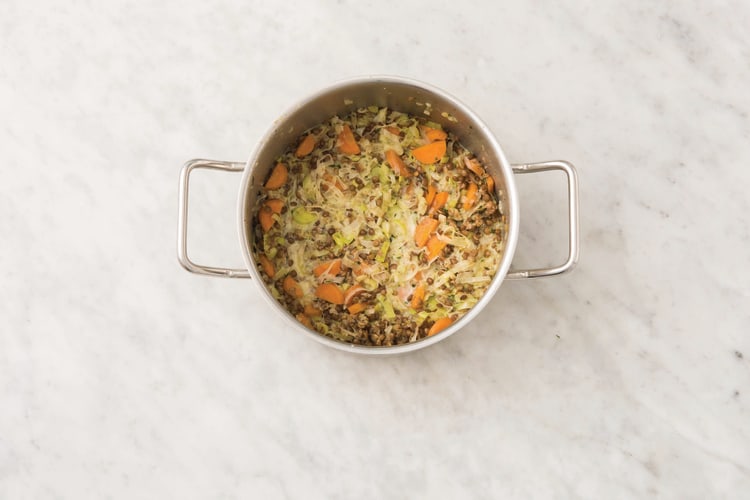 Add the lentils