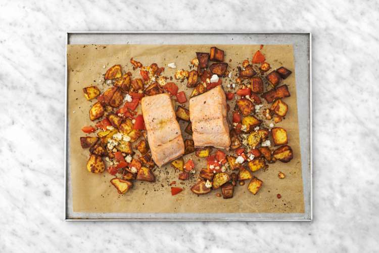 Cook the Salmon