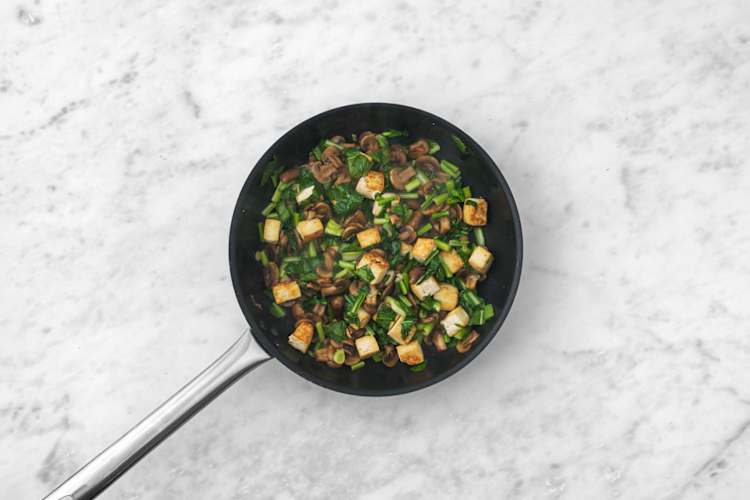 Start the tofu