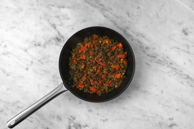 Fry the Mince