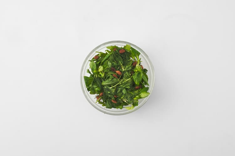 Salade maken