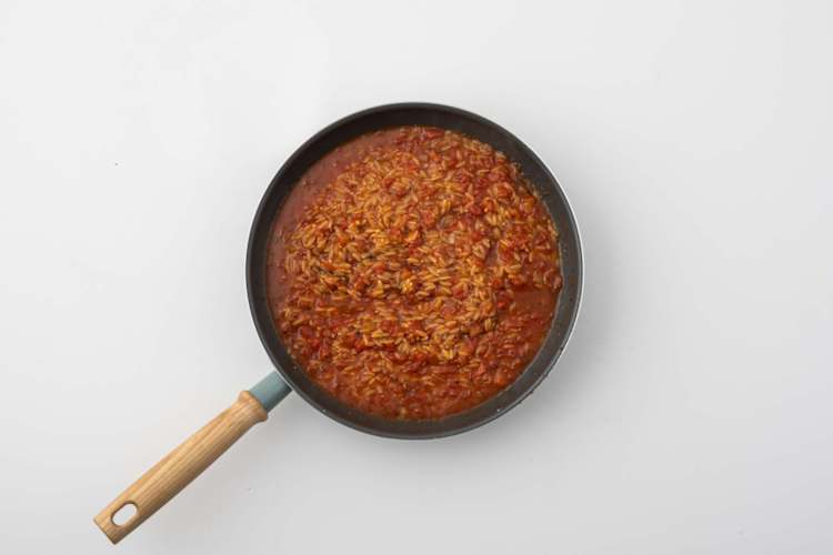 Orzo koken