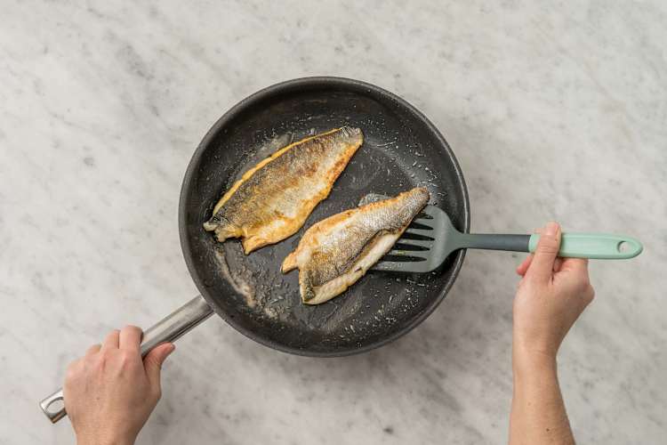 Sea Bream Time