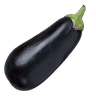 Aubergine