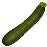 Zucchini