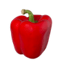 Capsicum