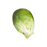 Brussels sprouts