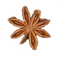 Star Anise