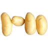 Baby Potatoes