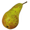 Poire