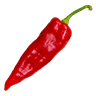 Poivron pointu rouge
