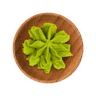 Wasabi-Paste