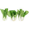 Baby Pak Choi