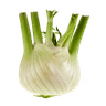 Fenchel