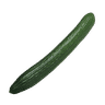 Cucumber