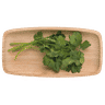 Coriander