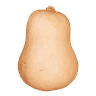 Butternut Squash