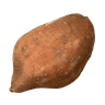 Sweet Potato