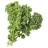 Kale