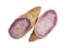 Purple Sweet Potato