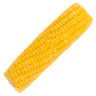 Corn on the Cob