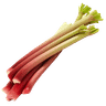 Rhabarber