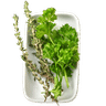 Parsley and Thyme