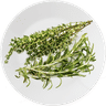 Romarin et thym frais