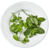 Koriander/Minze