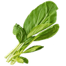Gai Lan